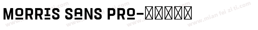 Morris Sans Pro字体转换